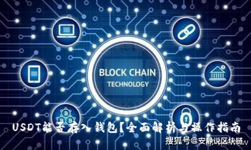 USDT能否存入钱包？全面解析与操作指南