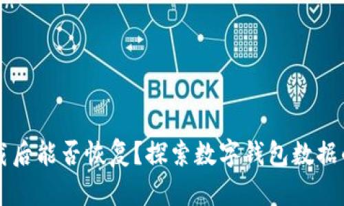 tpWallet卸载后能否恢复？探索数字钱包数据的保护与恢复