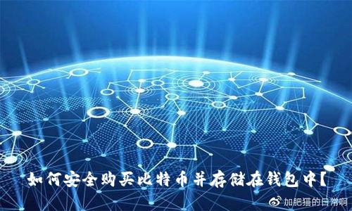 如何安全购买比特币并存储在钱包中？