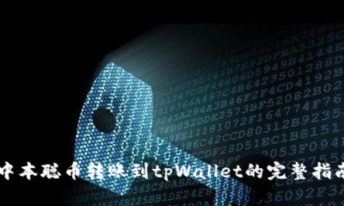 中本聪币转账到tpWallet的完整指南
