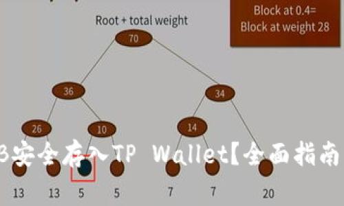 如何将SHIB安全存入TP Wallet？全面指南与注意事项