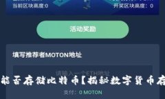 货币钱包能否存储比特币