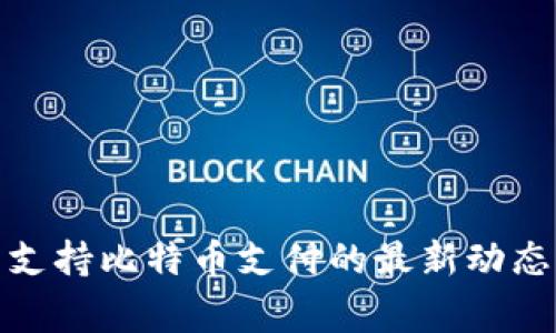 Steam钱包支持比特币支付的最新动态与玩家反响