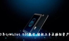 2023年tpWallet BSC教程：轻松