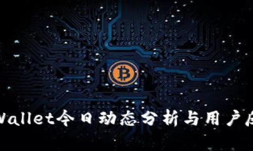 tpWallet今日动态分析与用户反馈
