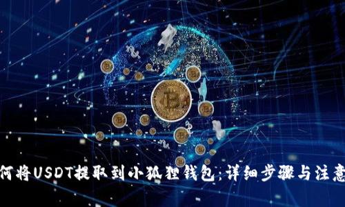 : 如何将USDT提取到小狐狸钱包：详细步骤与注意事项