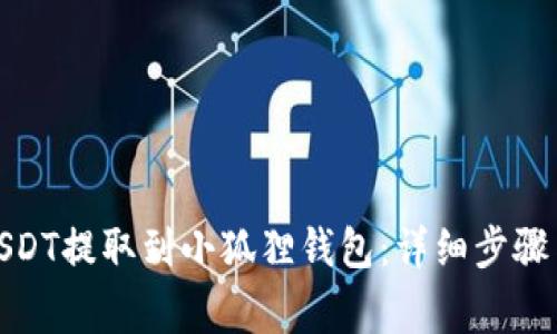 : 如何将USDT提取到小狐狸钱包：详细步骤与注意事项