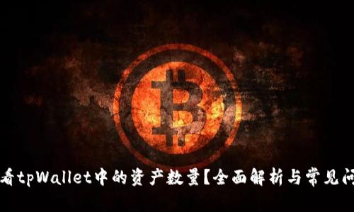如何查看tpWallet中的资产数量？全面解析与常见问题解答