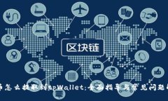 火币怎么提取到tpWallet：全