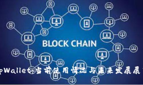 tpWallet：当前使用情况与未来发展展望