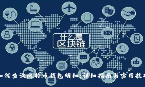 如何查询比特币钱包明细：详细指南与实用技巧