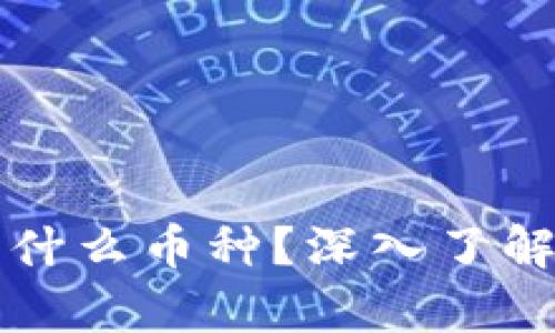 比特币钱包存放的是什么币种？深入了解数字资产的安全管理