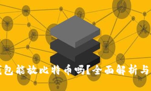 瑞波币钱包能放比特币吗？全面解析与实用指南