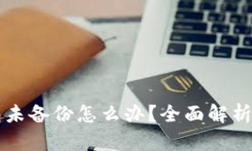 以太坊钱包未备份怎么办？全面解析与解决方案