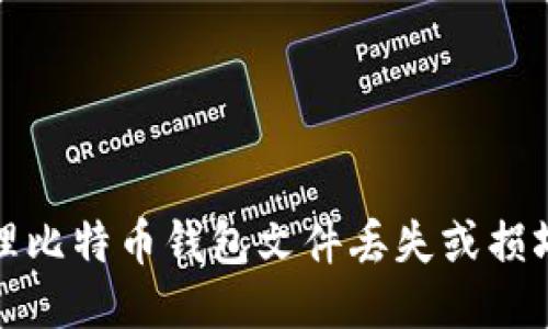 如何处理比特币钱包文件丢失或损坏的问题