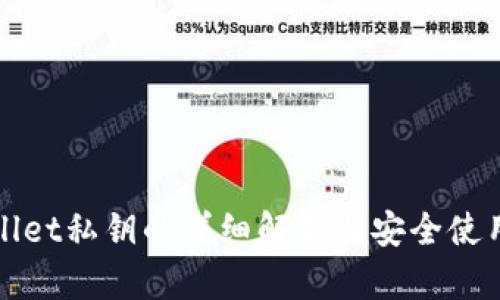 tpWallet私钥的详细解析与安全使用指南