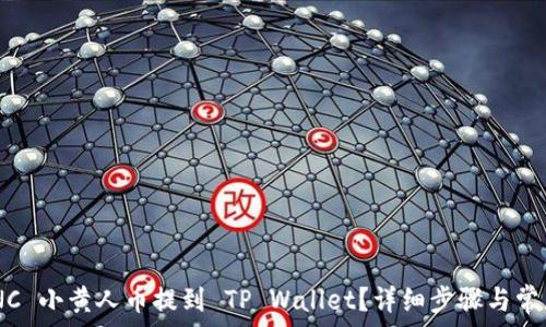   
如何将 MNC 小黄人币提到 TP Wallet？详细步骤与常见问题解答