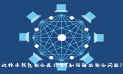 比特币钱包锁仓是什么？