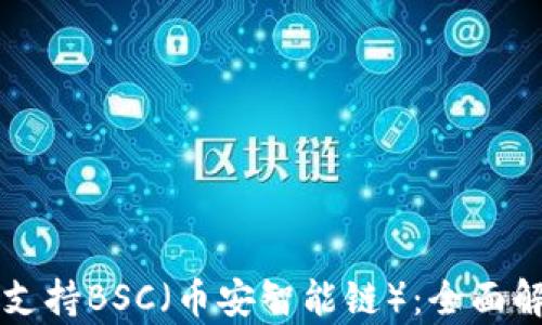 
tpWallet如何支持BSC（币安智能链）：全面解析与使用指南