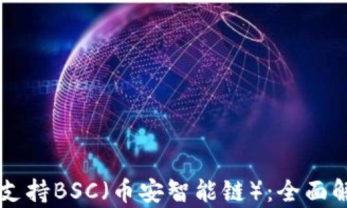 
tpWallet如何支持BSC（币安智能链）：全面解析与使用指南