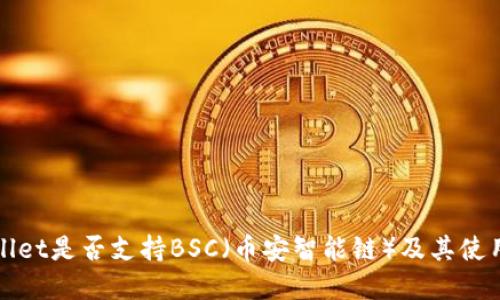 tpWallet是否支持BSC（币安智能链）及其使用指南