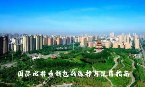 国际比特币钱包的选择与使用指南