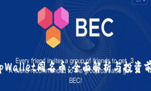  tpWallet同名币：全面解析与投资前景